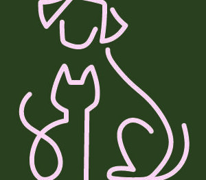 Webinar on the Health and Welfare of the Swedish Vallhund - 14 October 2026