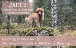 Part 2. Transmission of Genes from Parents to Offspring
